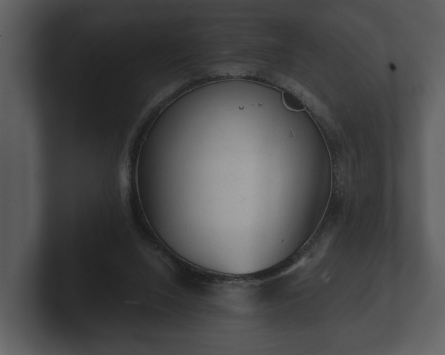 X0000103150064200808291438