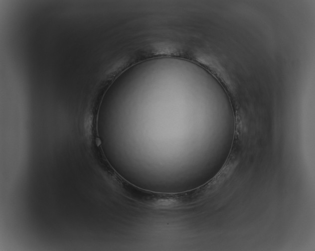 X0000103150066200808291438