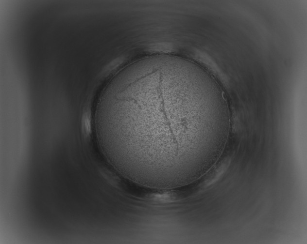 X0000103150068200808291438