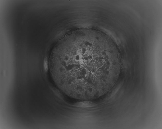 X0000103150069200808291438