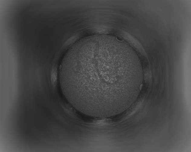 X0000103150072200808291438