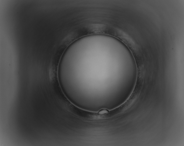 X0000103150073200808291438