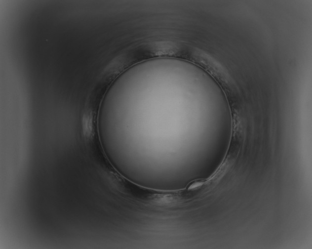 X0000103150074200808291438