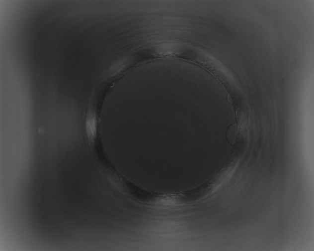 X0000103150076200808291438