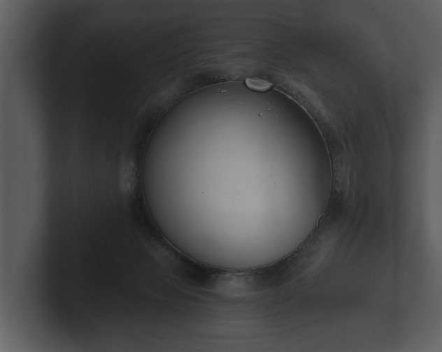 X0000103150077200808291438