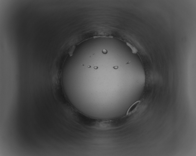 X0000103150078200808291438