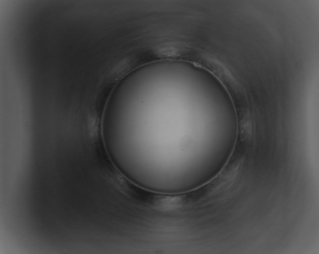 X0000103150081200808291438