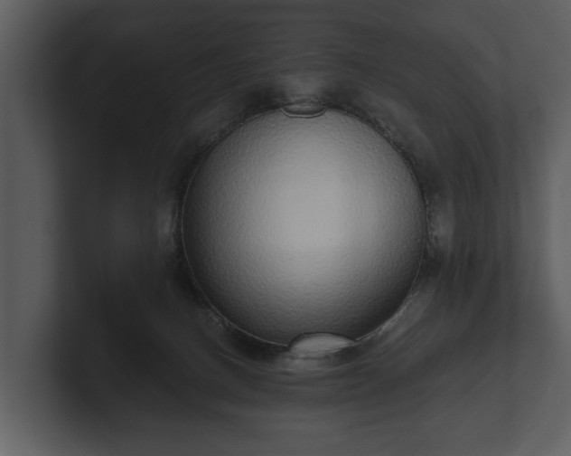 X0000103150082200808291438