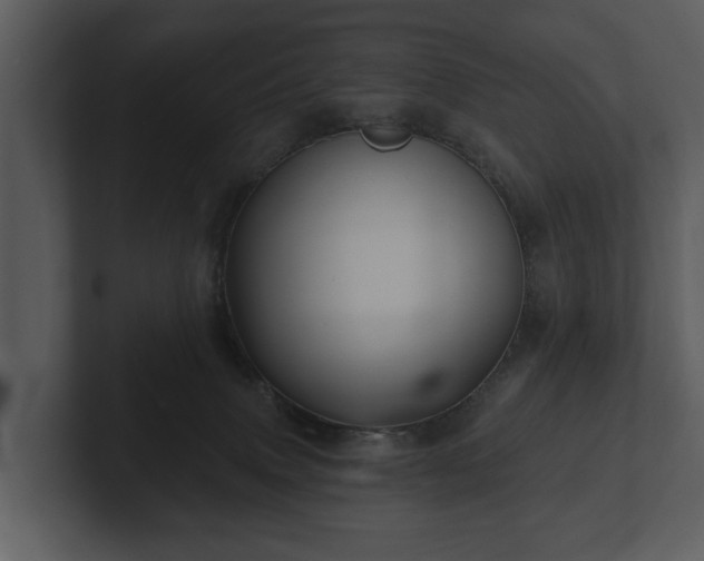 X0000103150083200808291438