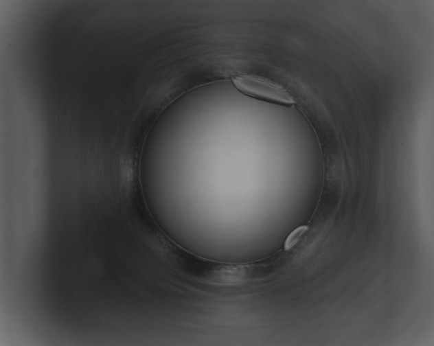 X0000103150084200808291438