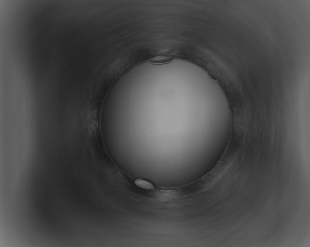 X0000103150085200808291438