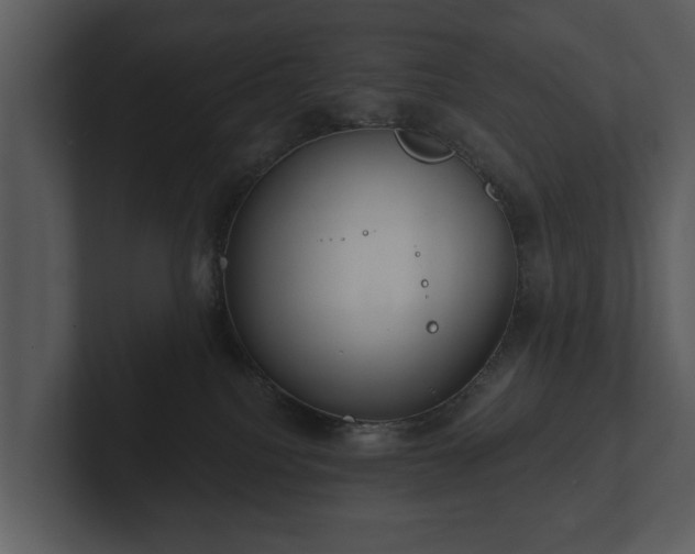 X0000103150088200808291438