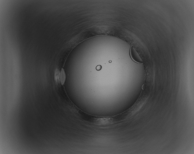 X0000103150089200808291438