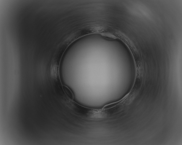 X0000103150093200808291438