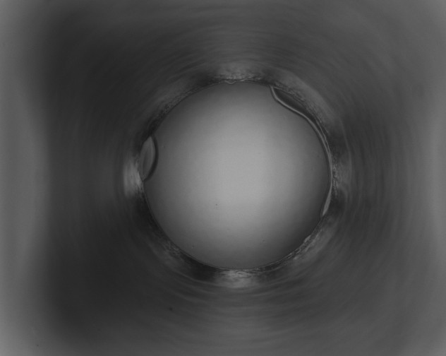 X0000103150095200808291438