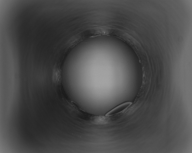 X0000103150096200808291438