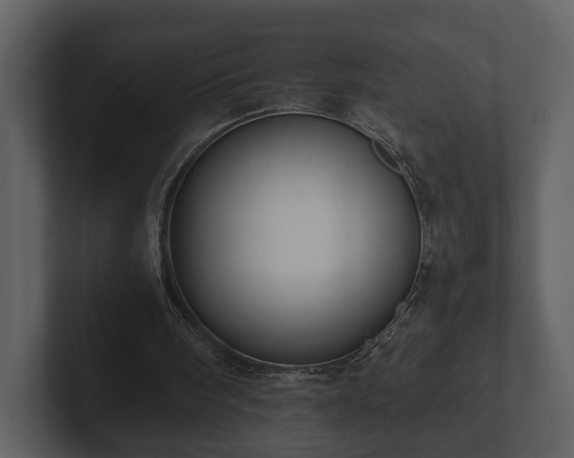 X0000103150098200808291438