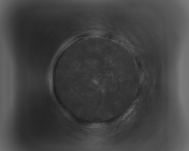 X0000103150101200808291438