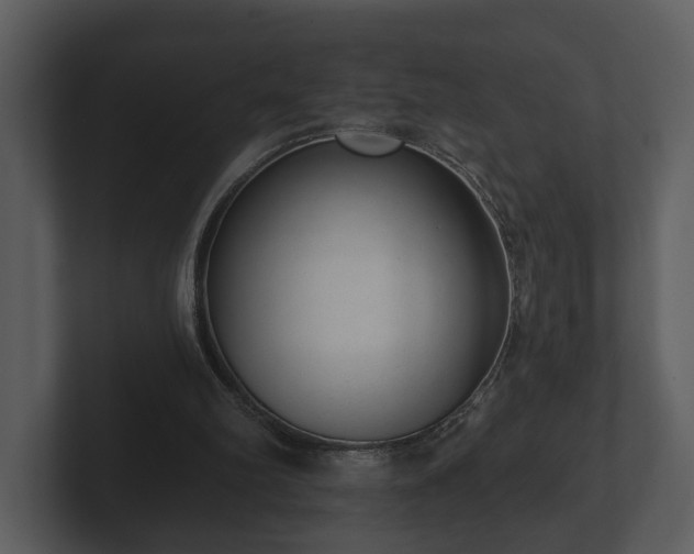 X0000103150102200808291438