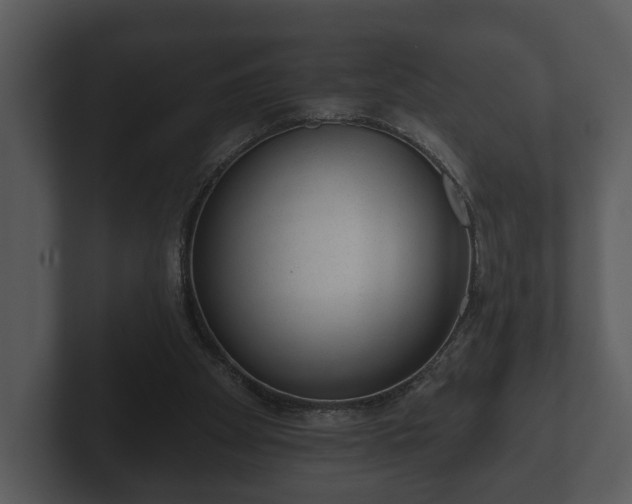 X0000103150105200808291438