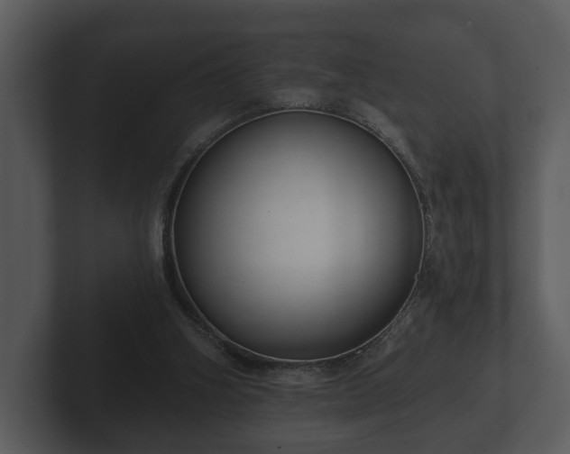 X0000103150106200808291438