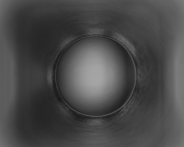 X0000103150107200808291438