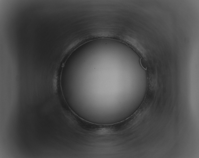 X0000103150111200808291438