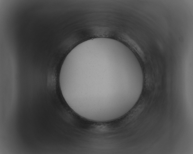 X0000103150113200808291438