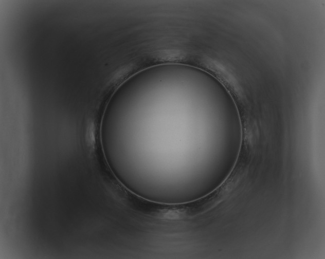 X0000103150115200808291438