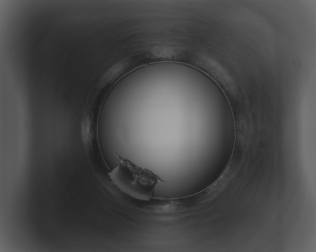 X0000103150116200808291438