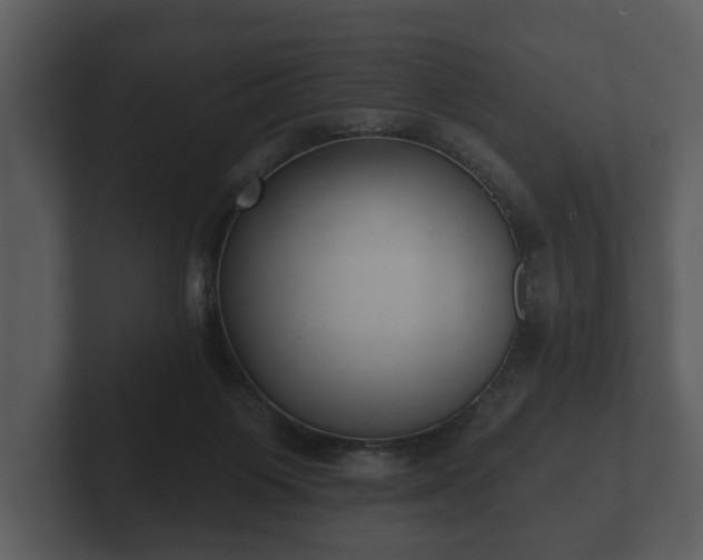 X0000103150119200808291438