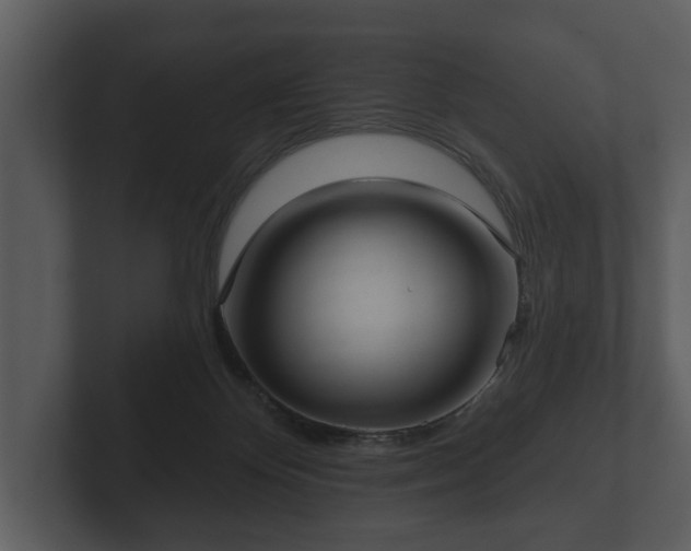 X0000103150124200808291437