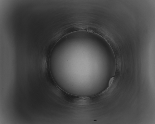 X0000103150128200808291437