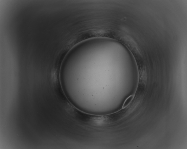 X0000103150131200808291437