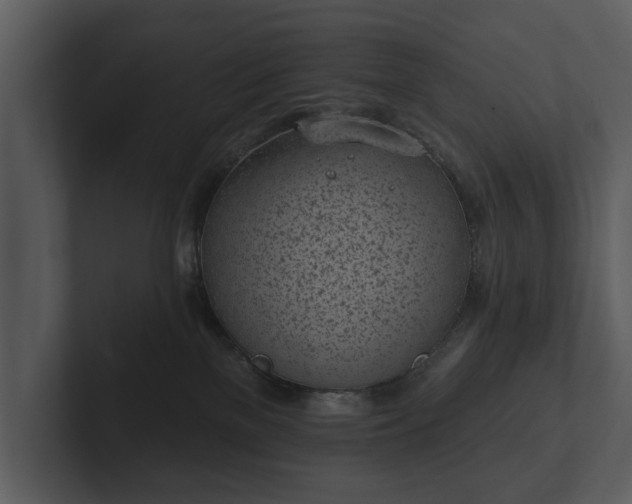 X0000103150137200808291437