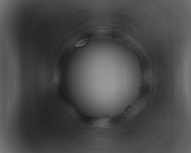 X0000103150138200808291437