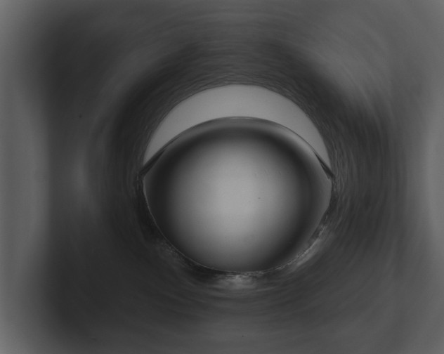 X0000103150140200808291437