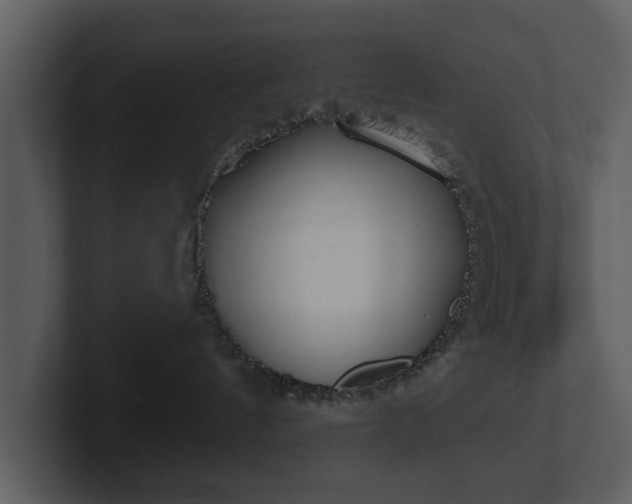 X0000103150144200808291437