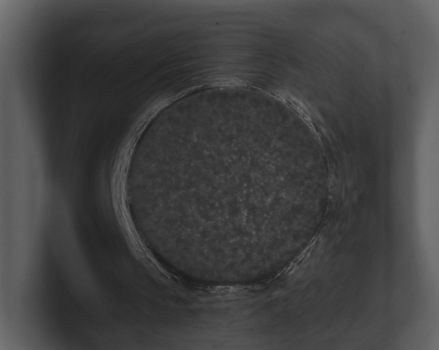 X0000103150145200808291437