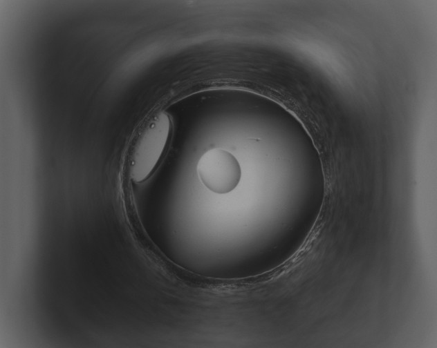 X0000103150146200808291437