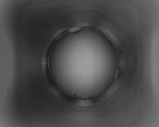 X0000103150160200808291437