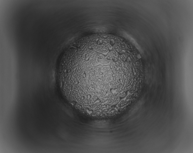 X0000103150161200808291437