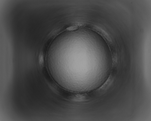 X0000103150166200808291437