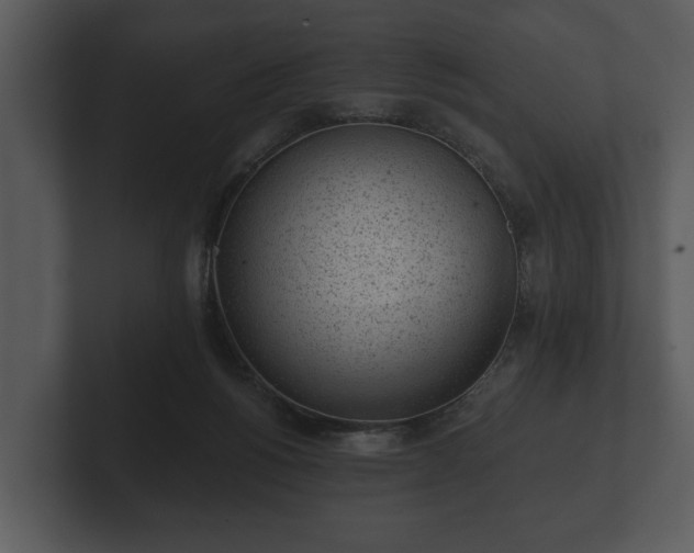 X0000103150168200808291437