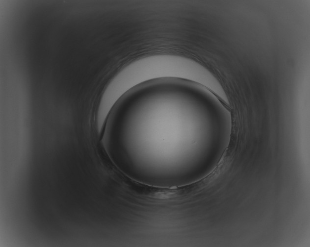 X0000103150172200808291437