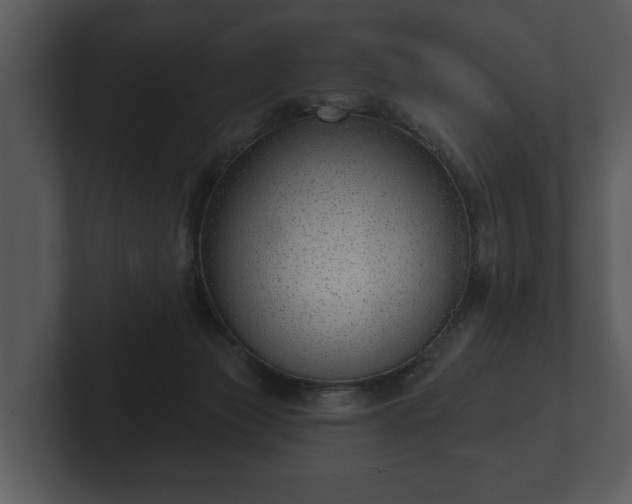 X0000103150173200808291437