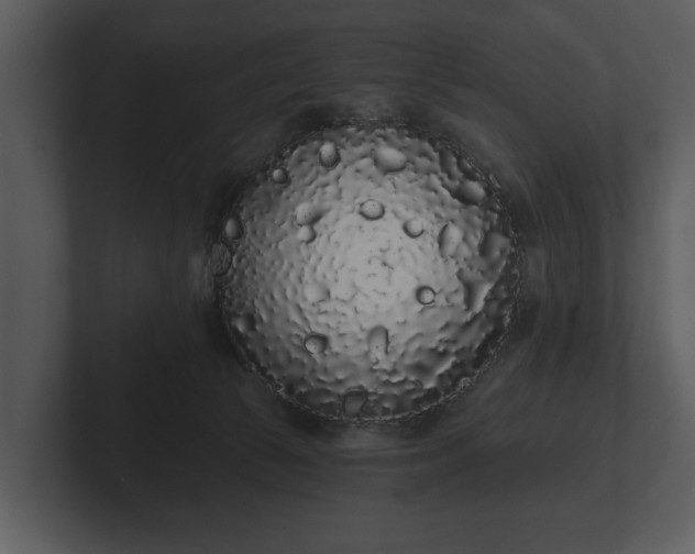 X0000103150177200808291437