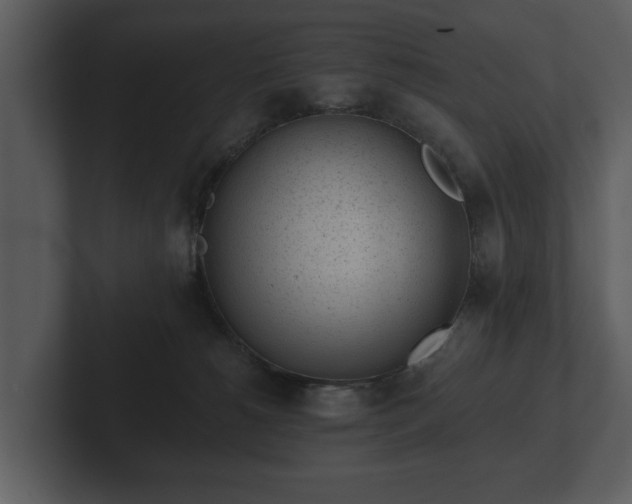 X0000103150180200808291437