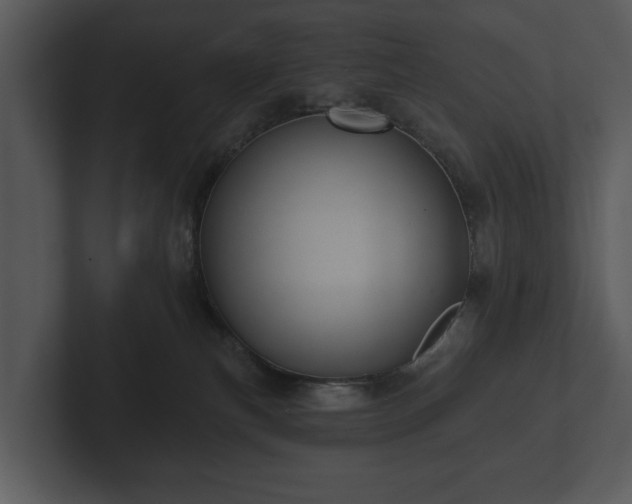 X0000103150183200808291437