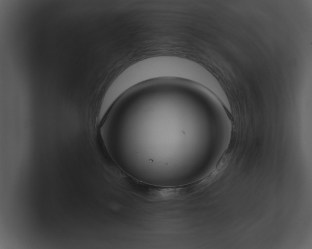 X0000103150184200808291437